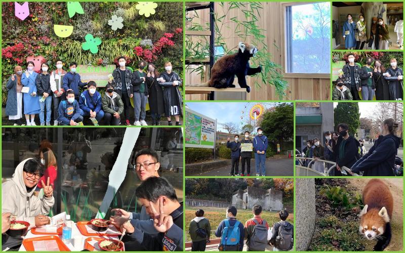 東山動物園 コラージュ.jpg